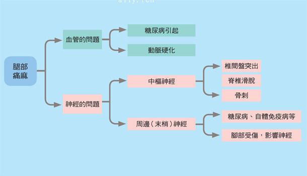 大腿麻又痛，是血管还是神经病变？-第1张图片-爱来健康