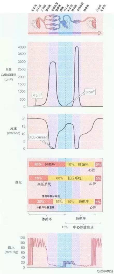 15张高血压医学美图，一文搞定高血压！-第12张图片-爱来健康