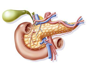 肺癌、肝癌、胃癌、大肠癌、乳腺癌、甲状腺癌等14种恶性肿瘤筛查与预防指南！-第13张图片-爱来健康