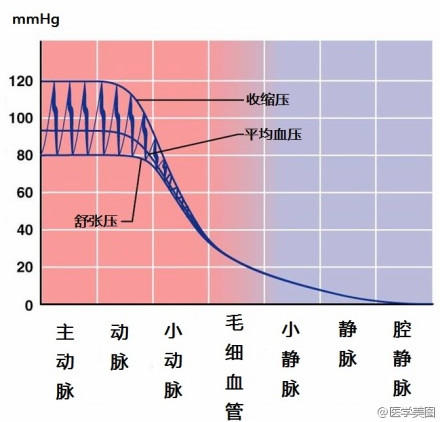 15张高血压医学美图，一文搞定高血压！-第13张图片-爱来健康