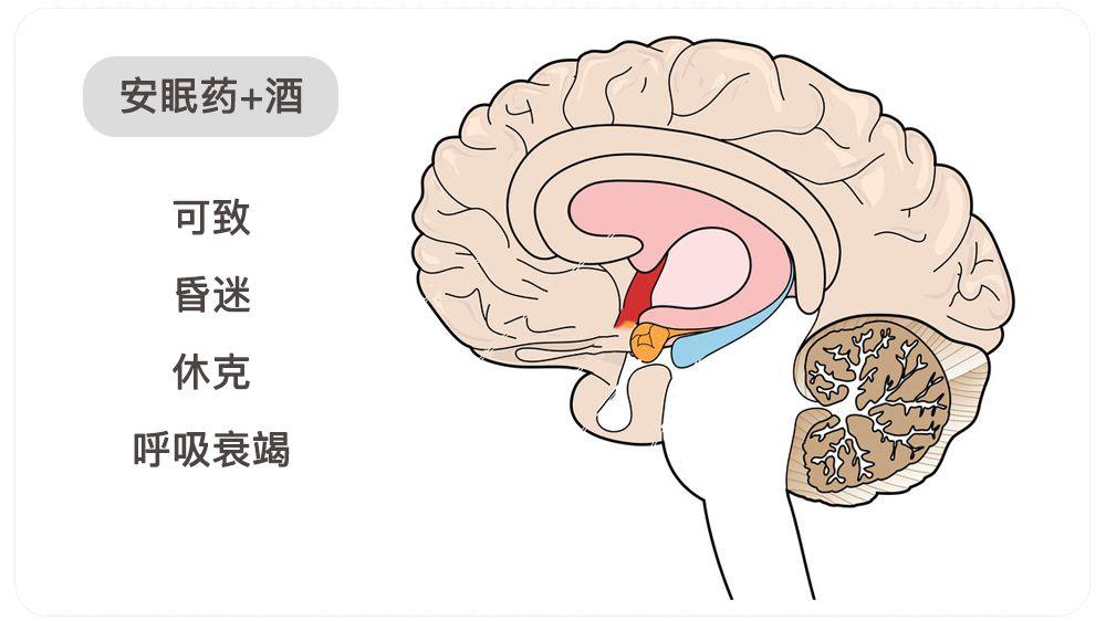 除了头孢，服用这8类药物后饮酒也危险！当心致死…-第5张图片-爱来健康