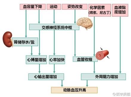 15张高血压医学美图，一文搞定高血压！-第3张图片-爱来健康