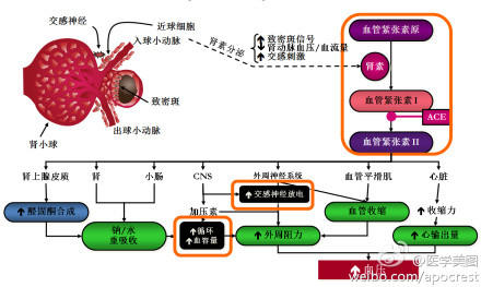 15张高血压医学美图，一文搞定高血压！-第2张图片-爱来健康