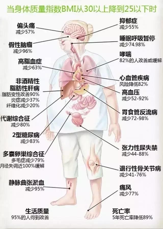 BBC解剖了一个200斤女子，看完你会用生命去减肥！-第17张图片-爱来健康