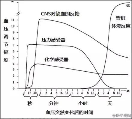 15张高血压医学美图，一文搞定高血压！-第10张图片-爱来健康