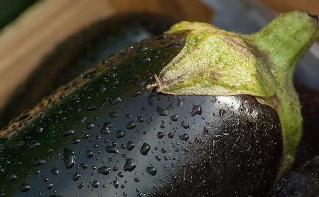 秋天茄子这样吃，胜过10副药，还能美白抗衰老，会吃就赚到-第1张图片-爱来健康