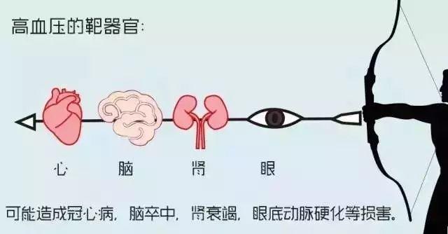 图解高血压，超级简易版！-第13张图片-爱来健康