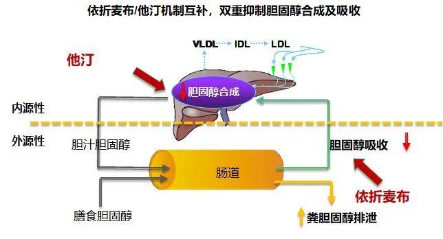 血脂高吃降胆固醇药，选药、复查、不良反应处理，十大问题真相-第9张图片-爱来健康