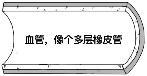 好好的血管，怎么就「堵」了？-第3张图片-爱来健康