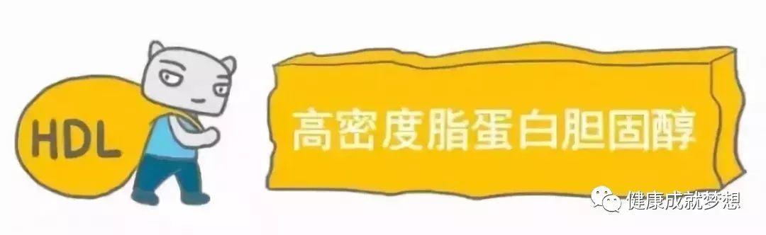 全面解读血脂四项，这些数值都记清楚了吗？-第10张图片-爱来健康