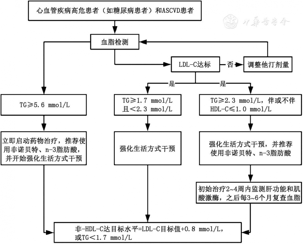 高甘油三酯血症及其心血管风险管理专家共识-第2张图片-爱来健康