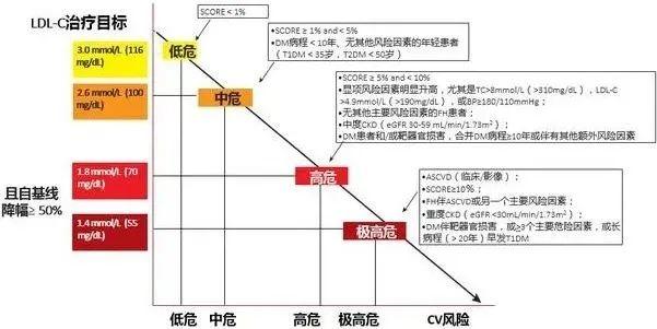 全面解读血脂四项，这些数值都记清楚了吗？-第2张图片-爱来健康