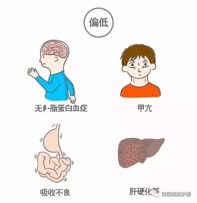 全面解读血脂四项，这些数值都记清楚了吗？-第8张图片-爱来健康