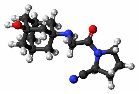 维格列汀的血管保护作用：专注于动脉粥样硬化-第1张图片-爱来健康