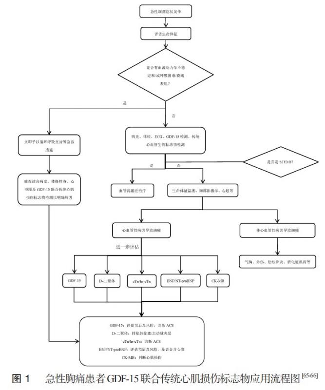 生长分化因子-15在急性冠状动脉综合征中急诊临床应用的专家共识（2022）-第5张图片-爱来健康